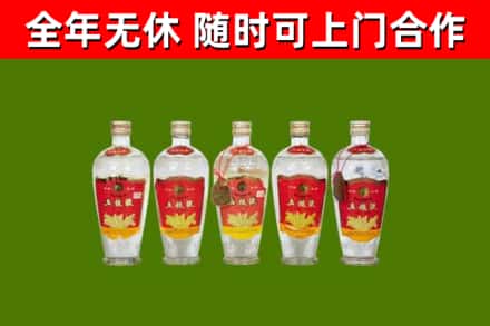 漳州烟酒回收公斤五粮液.jpg