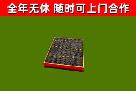 漳州回收海参